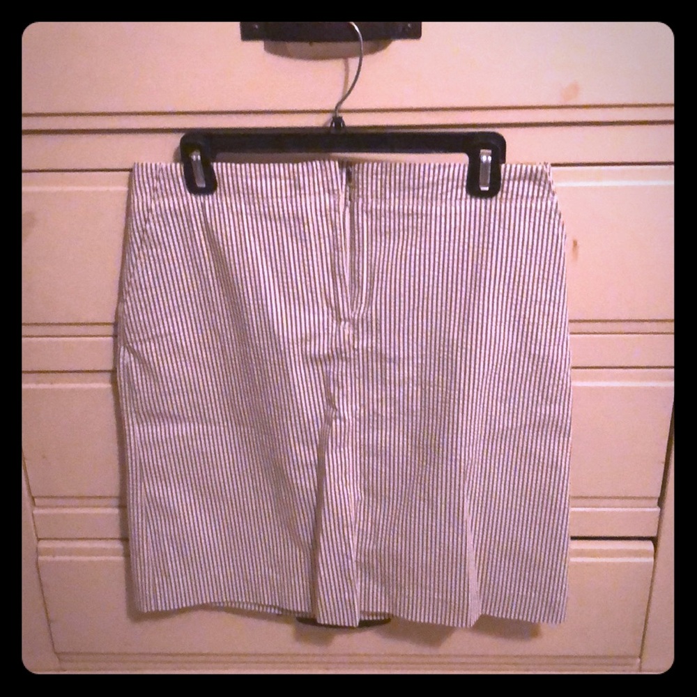 JCrew skirt